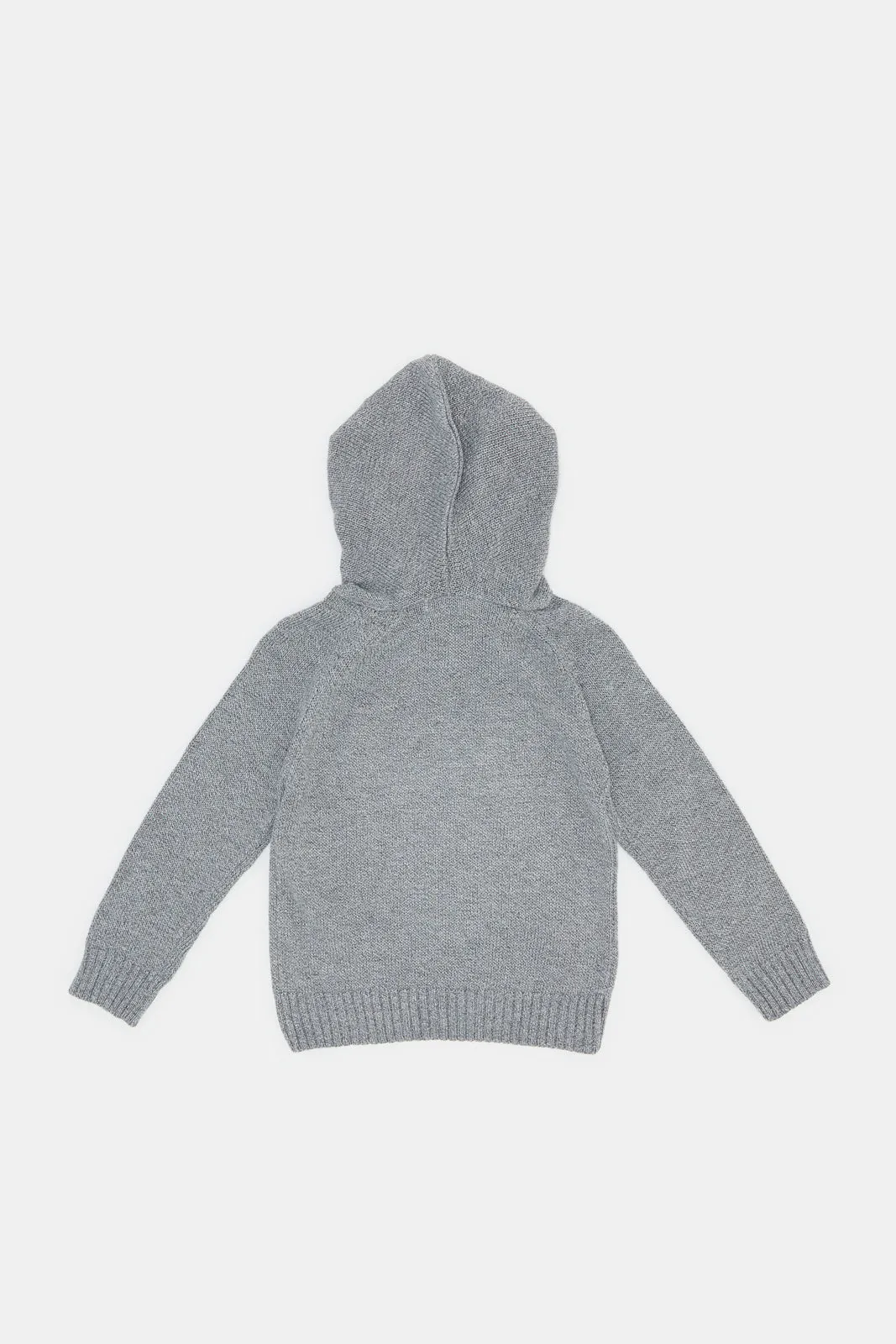 Infant Boys Grey Hooded Pullover