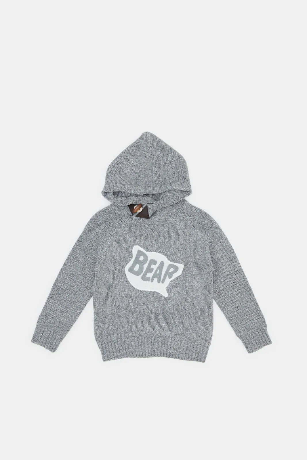 Infant Boys Grey Hooded Pullover