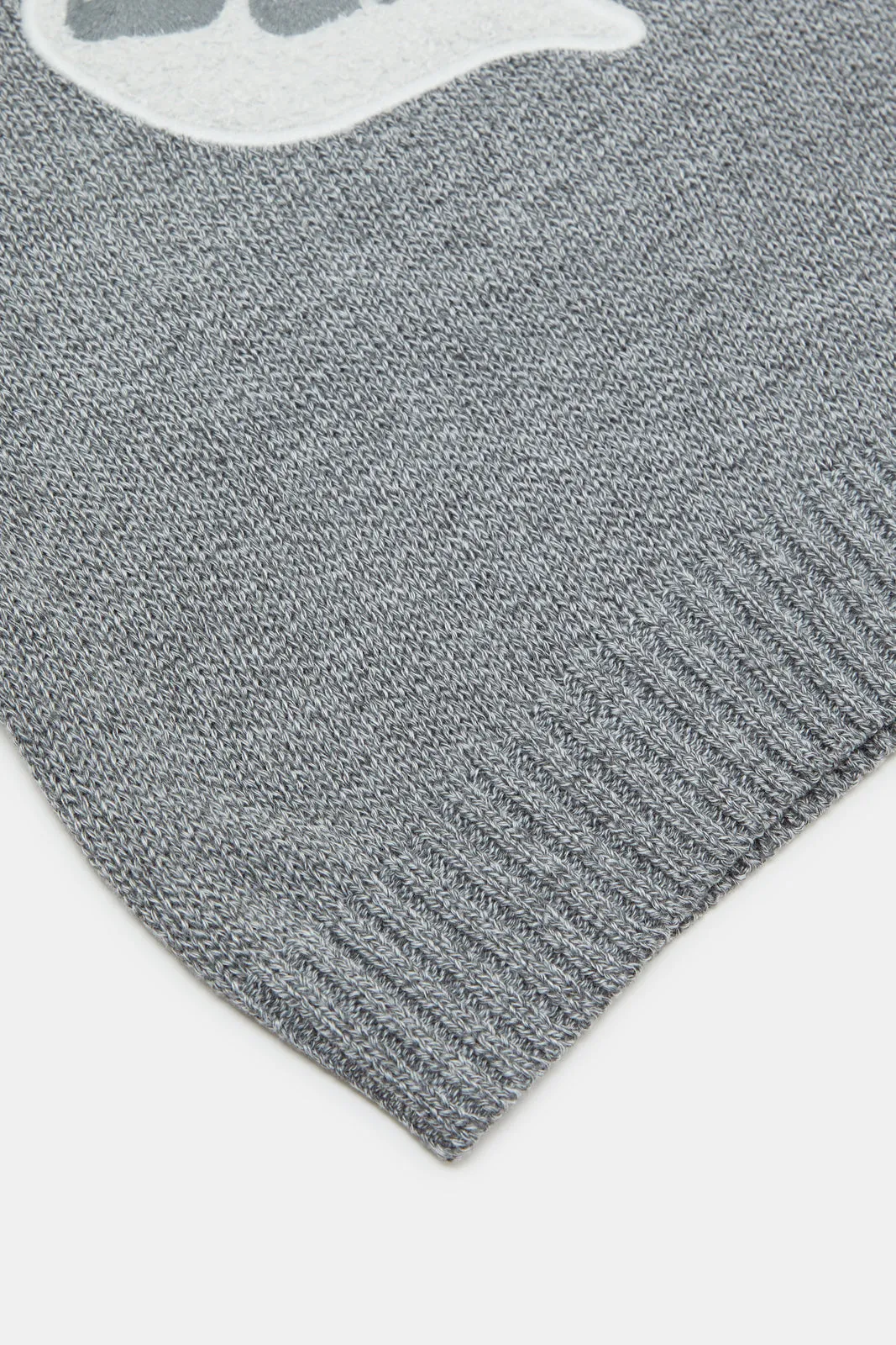 Infant Boys Grey Hooded Pullover